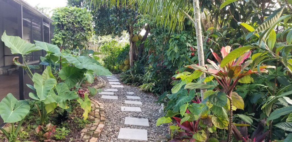 garden path, tropical foliage, garden